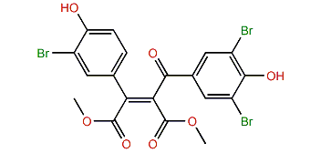 (Z)-Synoilide B